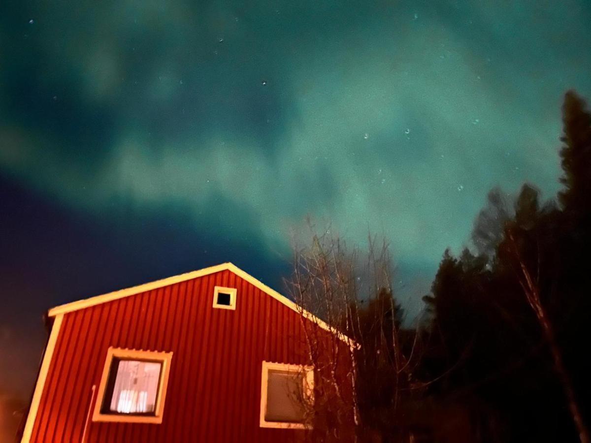 Authentic Cottage In Swedish Lapland Lycksele Zewnętrze zdjęcie