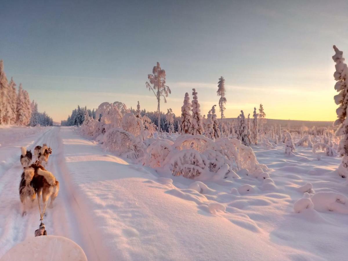 Authentic Cottage In Swedish Lapland Lycksele Zewnętrze zdjęcie