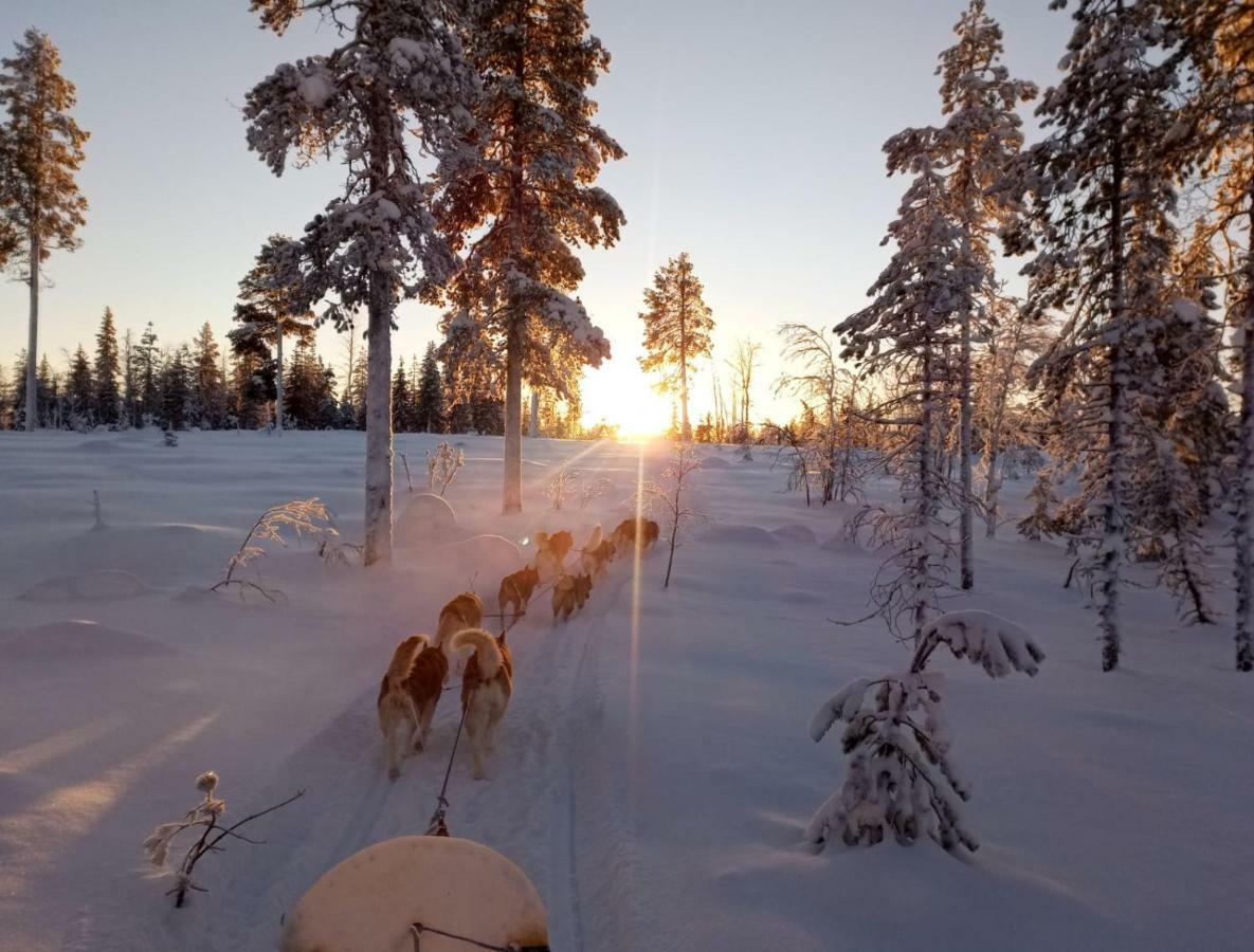 Authentic Cottage In Swedish Lapland Lycksele Zewnętrze zdjęcie